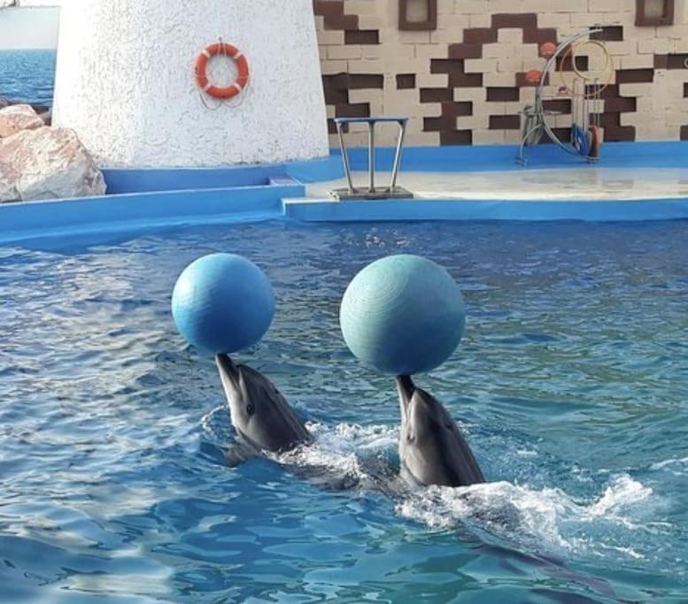 Charmant Appartement Neuf Proche De La Plage Anza Agadir Kültér fotó